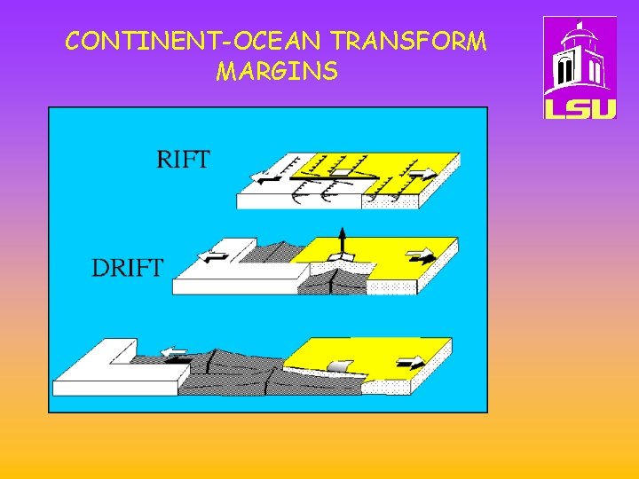 CONTINENT-OCEAN TRANSFORM MARGINS 