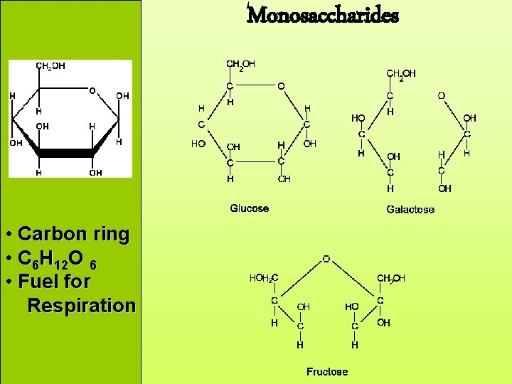 Monosaccharides • Carbon ring • C 6 H 12 O 6 • Fuel for