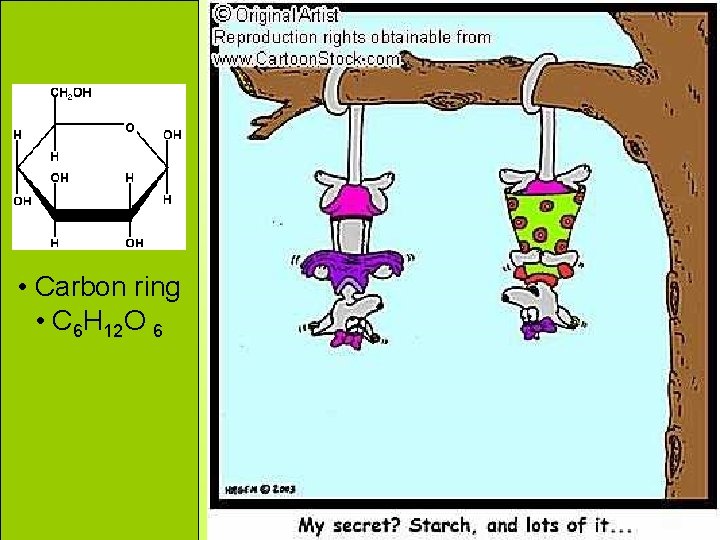 Polysaccharides • Carbon ring • C 6 H 12 O 6 A storage molecule