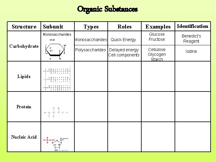 Organic Substances Structure Subunit Types Roles Monosaccharides Quick Energy Carbohydrate Lipids Protein Nucleic Acid