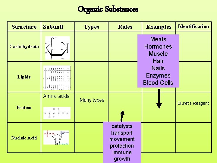 Organic Substances Structure Subunit Types Roles Identification Meats Hormones Muscle Hair Nails Enzymes Blood