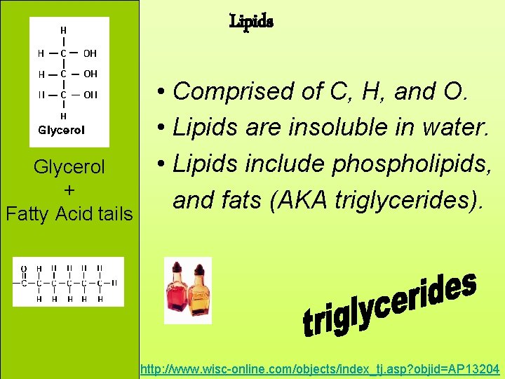 Lipids Glycerol + Fatty Acid tails • Comprised of C, H, and O. •