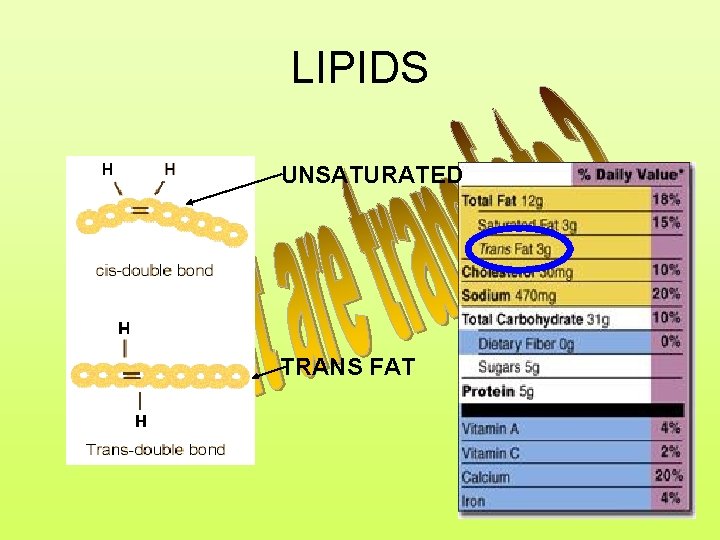LIPIDS UNSATURATED TRANS FAT 