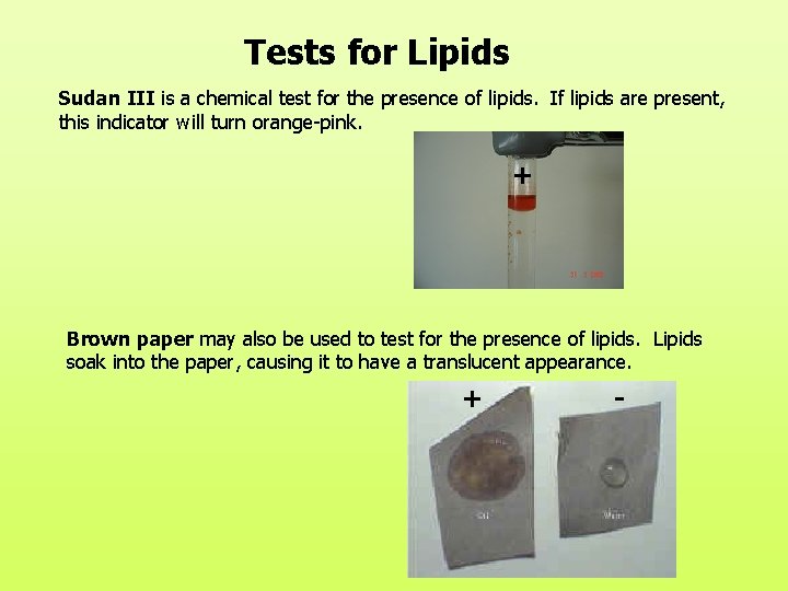 Tests for Lipids Sudan III is a chemical test for the presence of lipids.