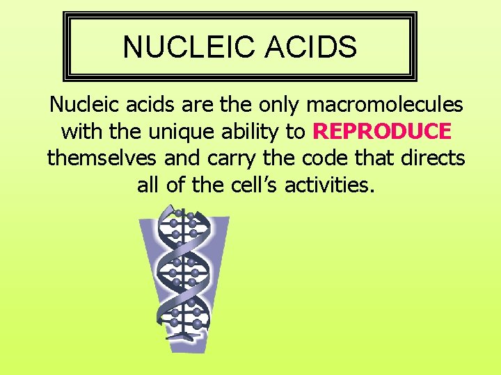NUCLEIC ACIDS Nucleic acids are the only macromolecules with the unique ability to REPRODUCE