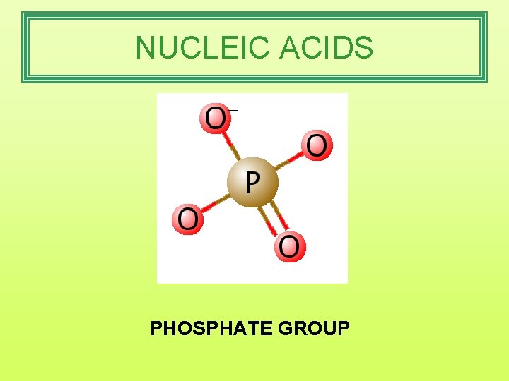 NUCLEIC ACIDS PHOSPHATE GROUP 