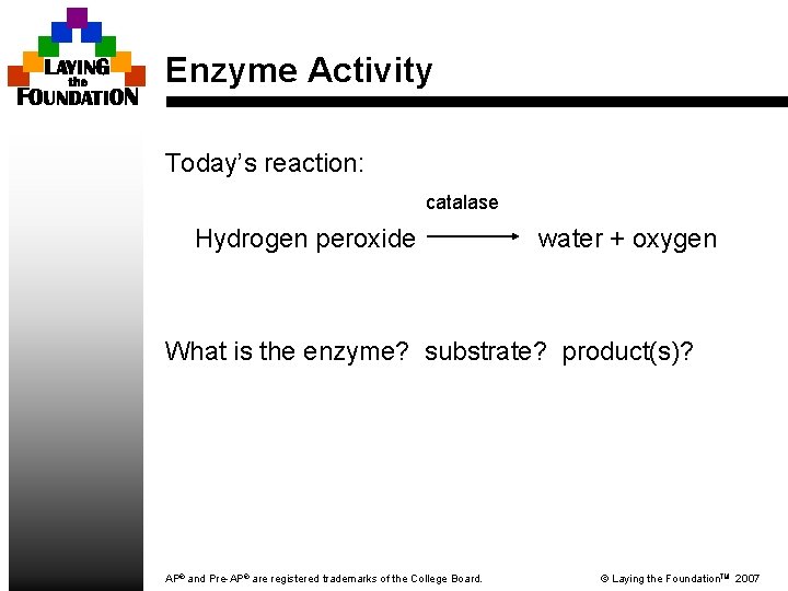 Enzyme Activity Today’s reaction: catalase Hydrogen peroxide water + oxygen What is the enzyme?