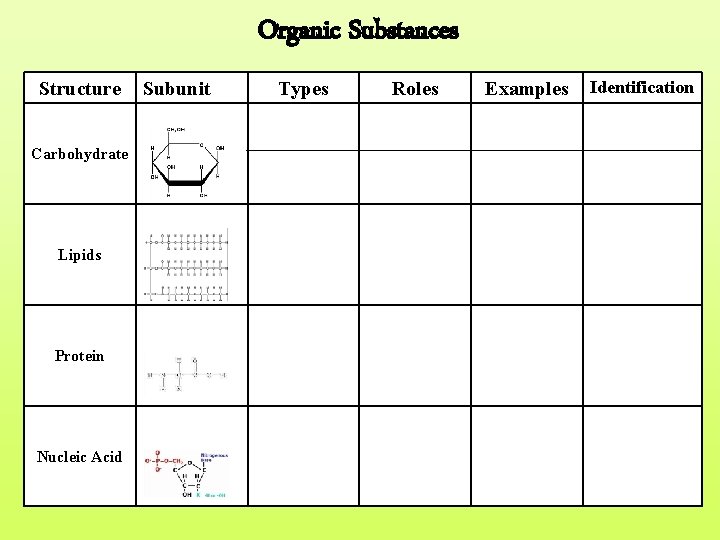 Organic Substances Structure Carbohydrate Lipids Protein Nucleic Acid Subunit Types Roles Examples Identification 