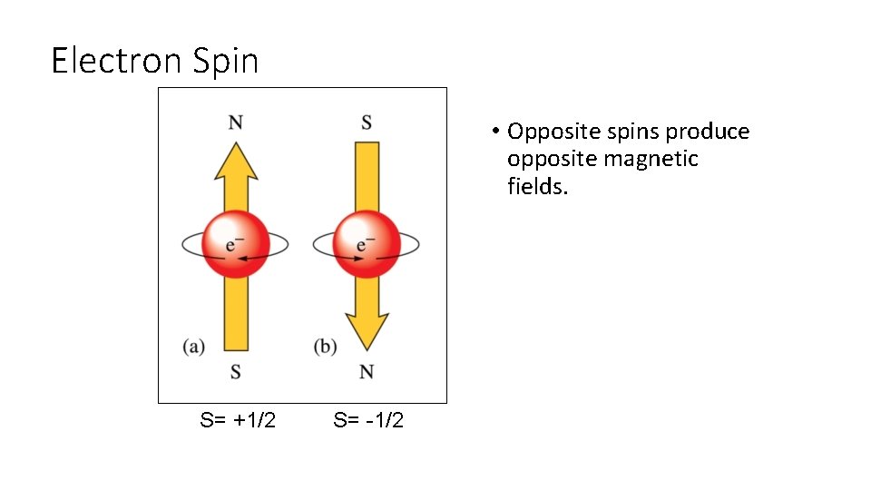 Electron Spin • Opposite spins produce opposite magnetic fields. S= +1/2 S= -1/2 Electron Spin • Opposite spins produce opposite magnetic fields. S= +1/2 S= -1/2