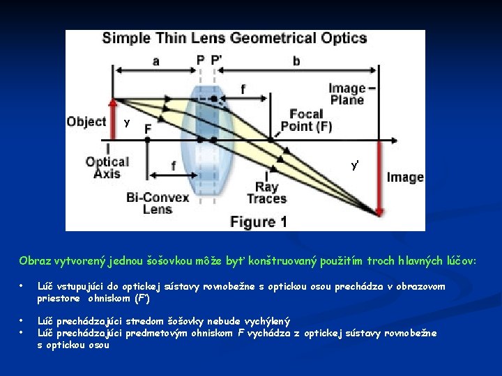 y y’ Obraz vytvorený jednou šošovkou môže byť konštruovaný použitím troch hlavných lúčov: •