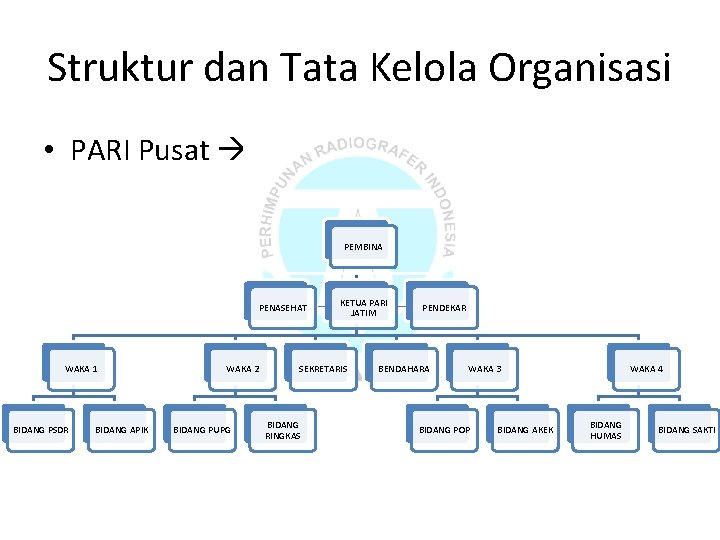 Struktur dan Tata Kelola Organisasi • PARI Pusat 34 Pengda PEMBINA PENASEHAT WAKA 1