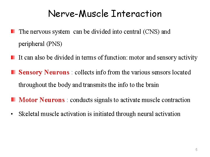 Nerve-Muscle Interaction The nervous system can be divided into central (CNS) and peripheral (PNS)