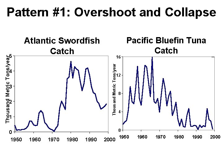 Pattern #1: Overshoot and Collapse 4 Pacific Bluefin Tuna Catch 12 3 2 1 Pattern #1: Overshoot and Collapse 4 Pacific Bluefin Tuna Catch 12 3 2 1