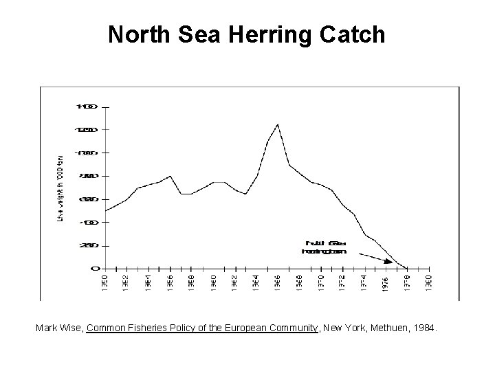 North Sea Herring Catch Mark Wise, Common Fisheries Policy of the European Community, New North Sea Herring Catch Mark Wise, Common Fisheries Policy of the European Community, New