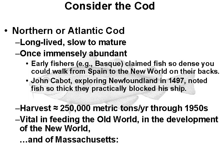 Consider the Cod • Northern or Atlantic Cod –Long-lived, slow to mature –Once immensely Consider the Cod • Northern or Atlantic Cod –Long-lived, slow to mature –Once immensely