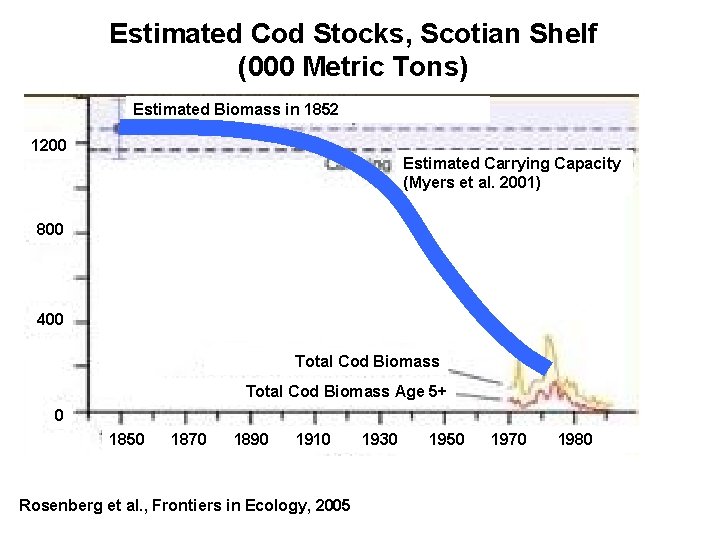 Estimated Cod Stocks, Scotian Shelf (000 Metric Tons) Estimated Biomass in 1852 1200 Estimated Estimated Cod Stocks, Scotian Shelf (000 Metric Tons) Estimated Biomass in 1852 1200 Estimated