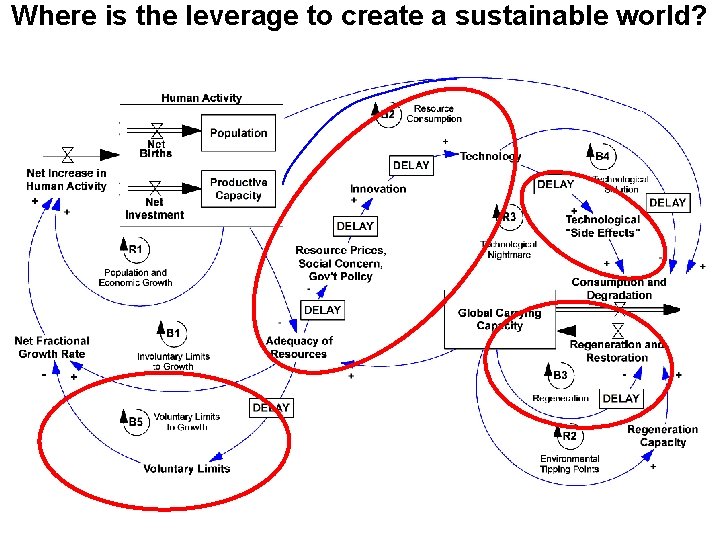 Where is the leverage to create a sustainable world? Where is the leverage to create a sustainable world?