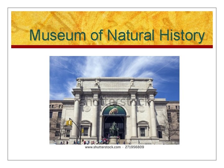 Museum of Natural History 