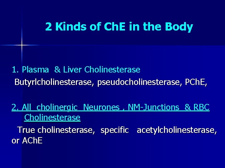 2 Kinds of Ch. E in the Body 1. Plasma & Liver Cholinesterase Butyrlcholinesterase,
