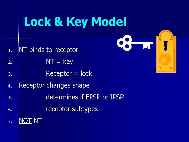 Lock & Key Model 1. NT binds to receptor 2. NT = key 3.