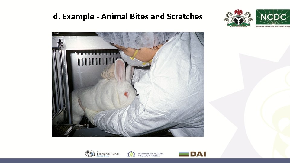 d. Example - Animal Bites and Scratches 