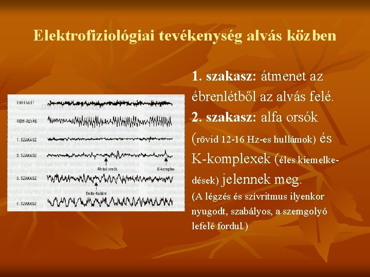 Elektrofiziológiai tevékenység alvás közben 1. szakasz: átmenet az ébrenlétből az alvás felé. 2. szakasz: