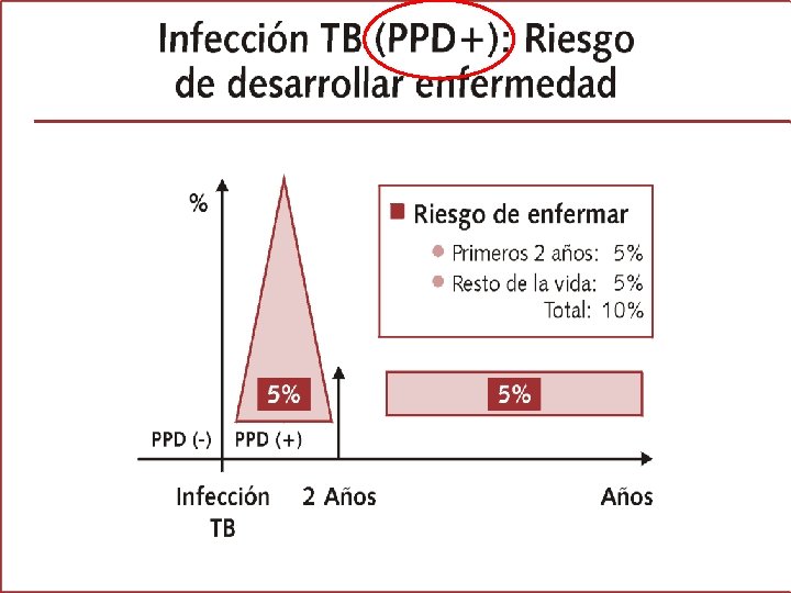 Grafica de ITL 