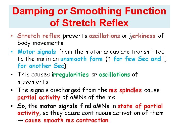 Damping or Smoothing Function of Stretch Reflex • Stretch reflex prevents oscillations or jerkiness