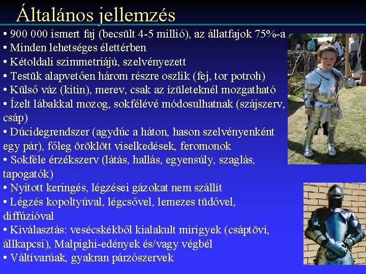 Általános jellemzés • 900 000 ismert faj (becsült 4 -5 millió), az állatfajok 75%-a