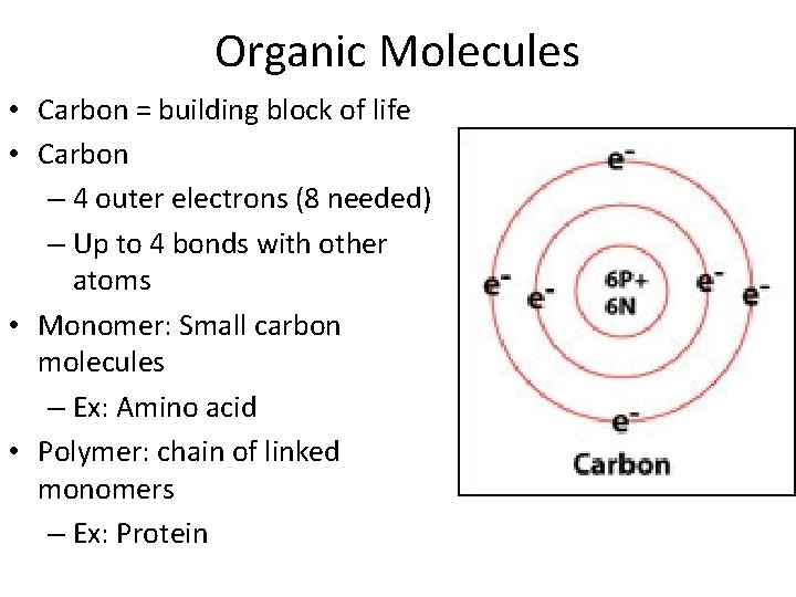 Organic Molecules • Carbon = building block of life • Carbon – 4 outer Organic Molecules • Carbon = building block of life • Carbon – 4 outer