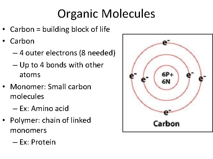 Organic Molecules • Carbon = building block of life • Carbon – 4 outer