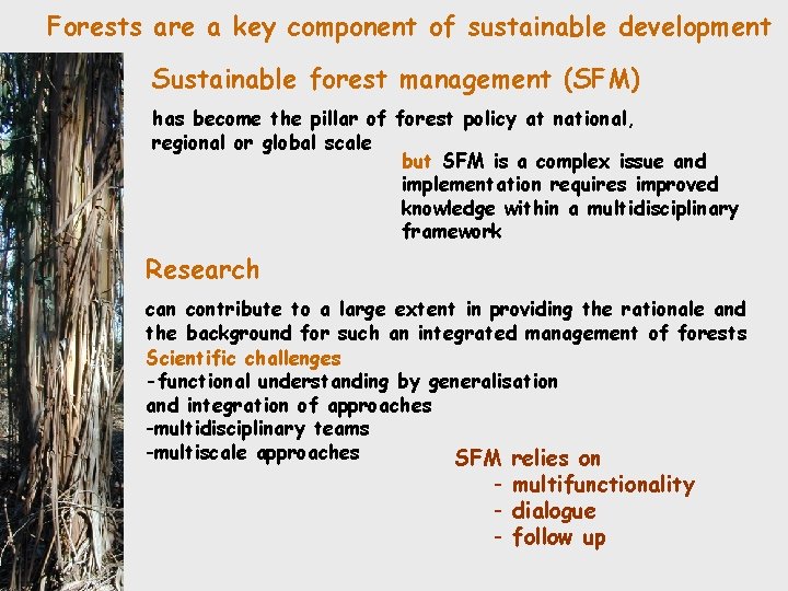 Sustainable forest management Criteria and indicators in the