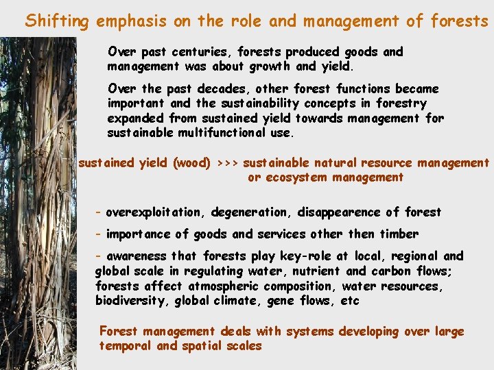 Sustainable forest management Criteria and indicators in the