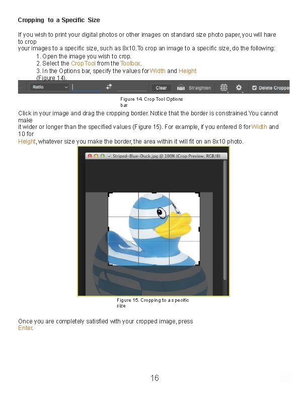 Cropping to a Specific Size If you wish to print your digital photos or