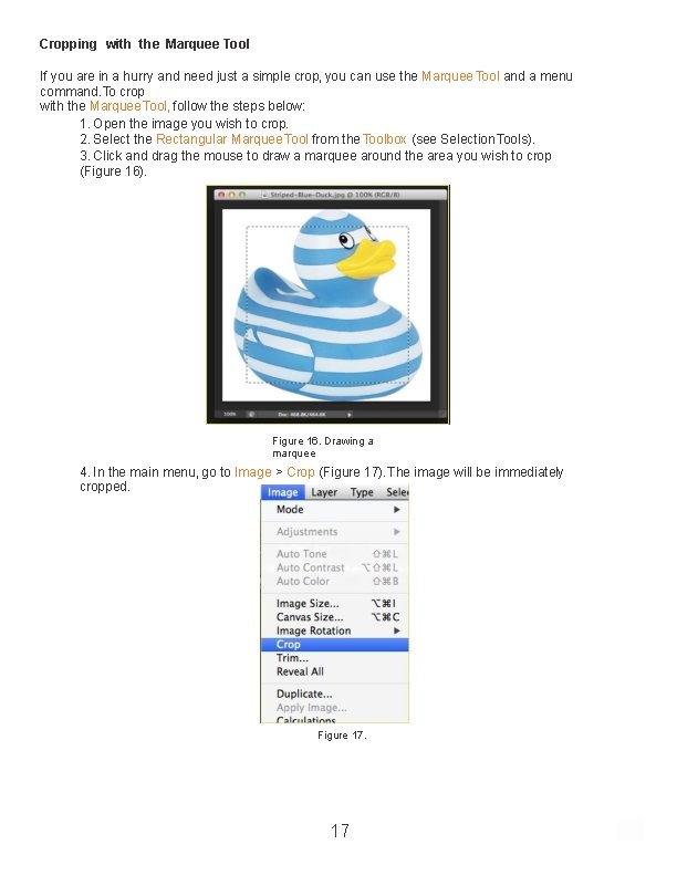 Cropping with the Marquee Tool If you are in a hurry and need just