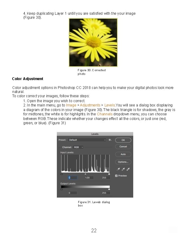 4. Keep duplicating Layer 1 untill you are satisfied with the your image (Figure