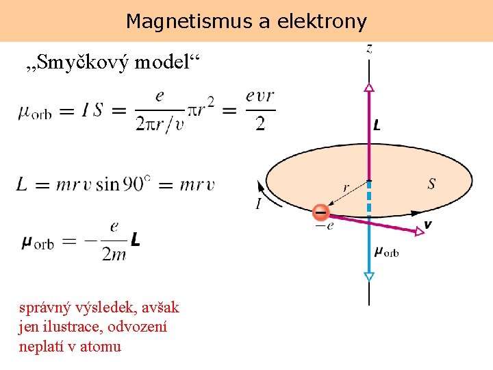 Magnetismus a elektrony „Smyčkový model“ správný výsledek, avšak jen ilustrace, odvození neplatí v atomu