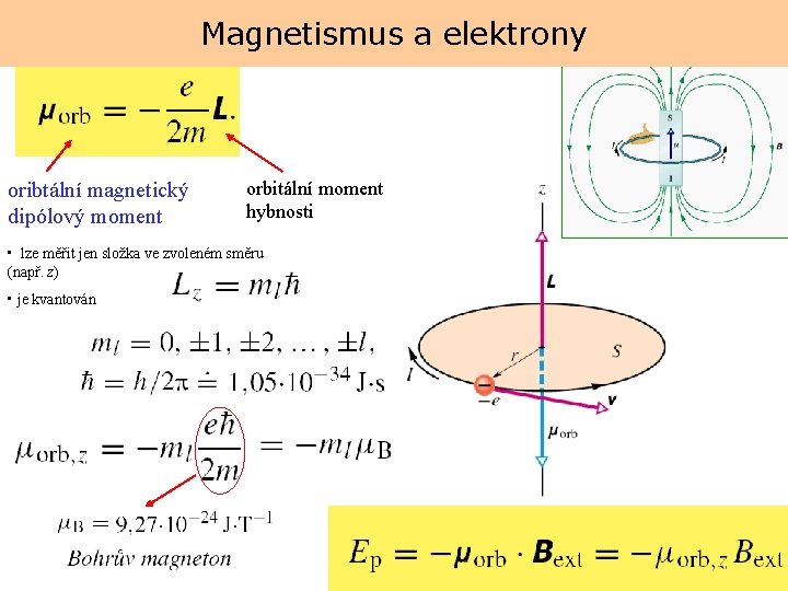 Magnetismus a elektrony oribtální magnetický dipólový moment orbitální moment hybnosti • lze měřit jen