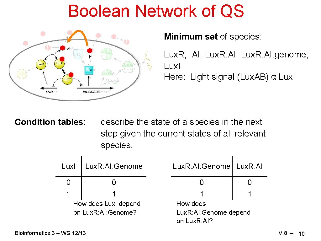 Boolean Network of QS Minimum set of species: Lux. R, AI, Lux. R: AI: