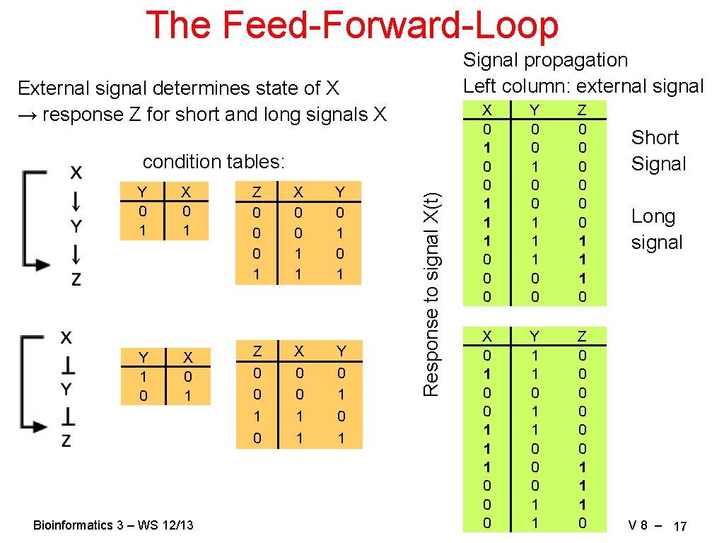 The Feed-Forward-Loop Signal propagation Left column: external signal External signal determines state of X