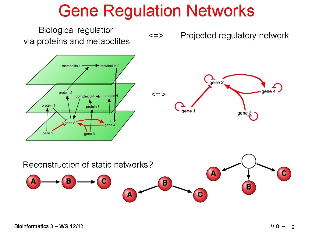 Gene Regulation Networks Biological regulation via proteins and metabolites <=> Projected regulatory network <=>