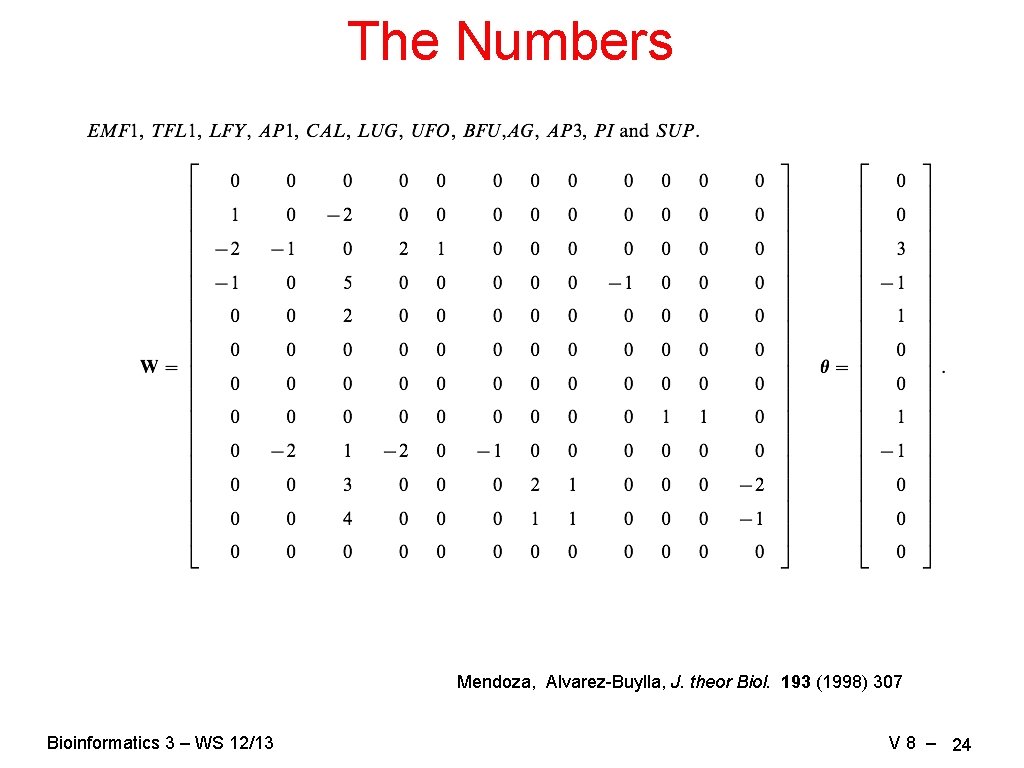 The Numbers Mendoza, Alvarez-Buylla, J. theor Biol. 193 (1998) 307 Bioinformatics 3 – WS