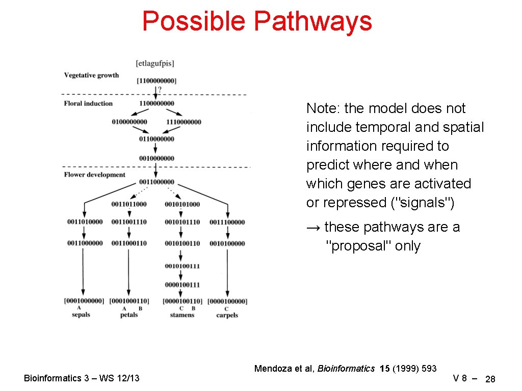 Possible Pathways Note: the model does not include temporal and spatial information required to