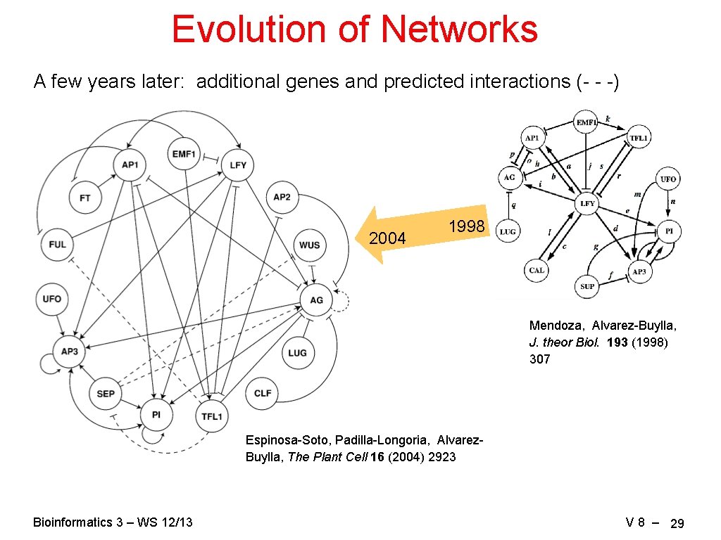 Evolution of Networks A few years later: additional genes and predicted interactions (- -