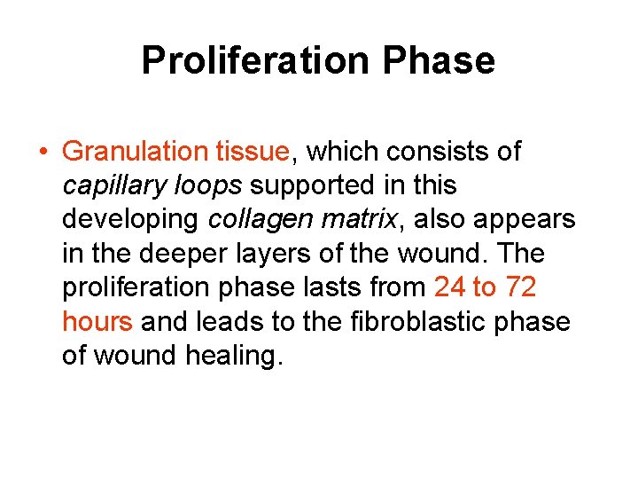 Proliferation Phase • Granulation tissue, which consists of capillary loops supported in this developing