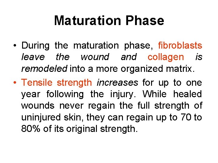 Maturation Phase • During the maturation phase, fibroblasts leave the wound and collagen is