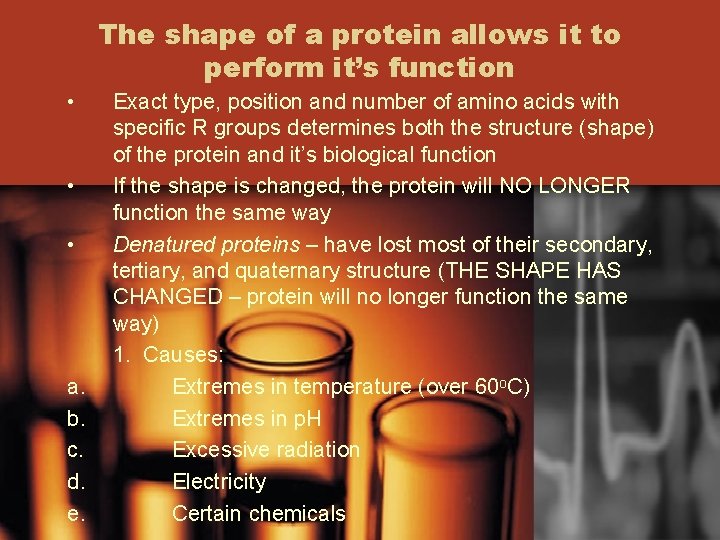 The shape of a protein allows it to perform it’s function • • •