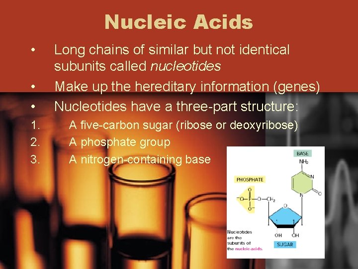 Nucleic Acids • • • 1. 2. 3. Long chains of similar but not