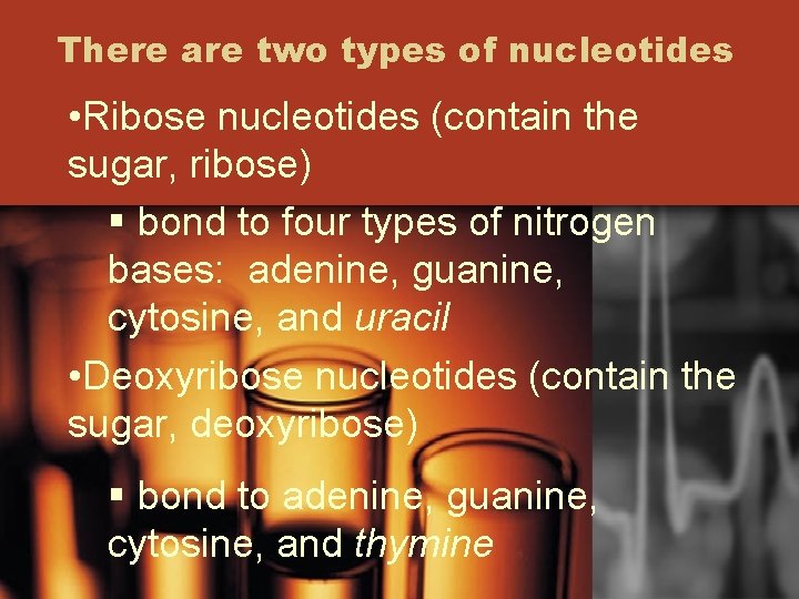 There are two types of nucleotides • Ribose nucleotides (contain the sugar, ribose) §