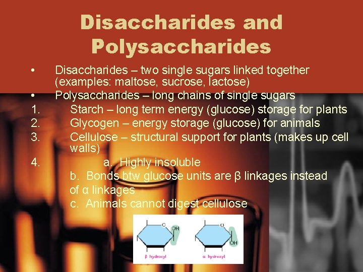 Disaccharides and Polysaccharides • • 1. 2. 3. 4. Disaccharides – two single sugars